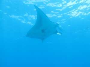 20130311-103634.jpg