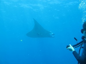 20130311-103648.jpg