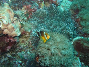 20130311-104047.jpg
