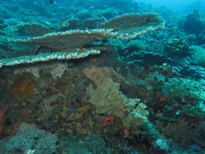 20130311-104114.jpg