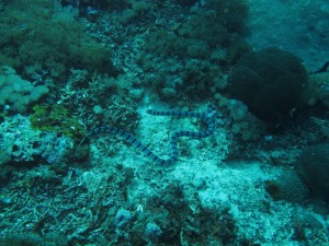 20130311-104204.jpg