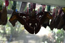 Bali – Day 7