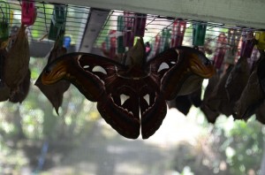 20130311-110006.jpg