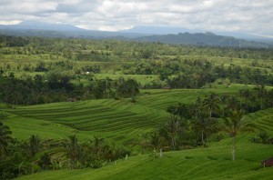 20130311-110143.jpg