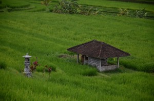 20130311-110209.jpg