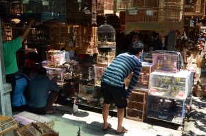 20130314-042137.jpg