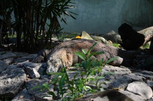 20130314-044112.jpg
