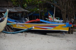 20130317-114646.jpg