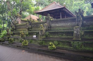 20130401-172047.jpg