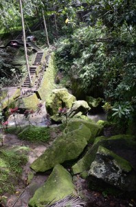20130401-172346.jpg