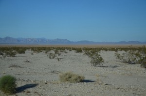 20140331-222506.jpg