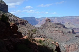 20140403-204218.jpg