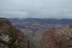 20140403-205639.jpg