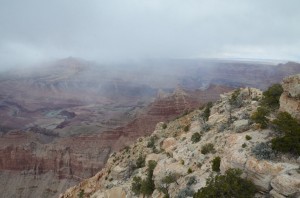 20140403-205656.jpg