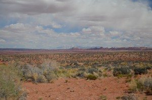 20140403-213724.jpg