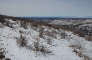 20140404-230208.jpg