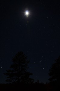 20140407-230224.jpg
