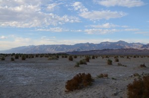 20140413-091410.jpg