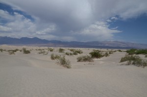20140414-172958.jpg