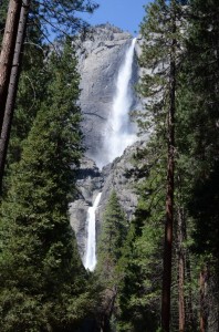 20140415-224251.jpg