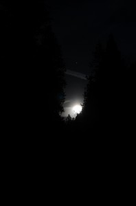 20140415-225230.jpg