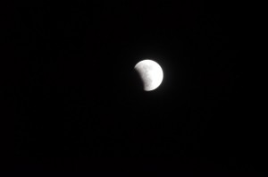 20140415-225733.jpg