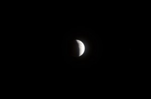 20140415-225853.jpg