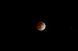 20140415-230159.jpg