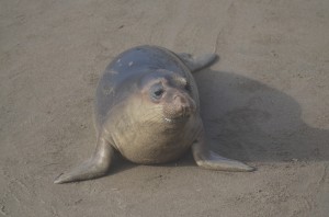 20140417-221254.jpg