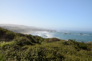 20140417-222404.jpg