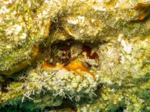 20140714-075611