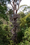 Borneo – Tag 3