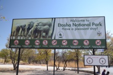 Namibia – Tag 7 – Etoscha Park