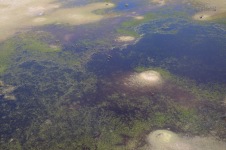 Botswana – Tag 11 – Maun